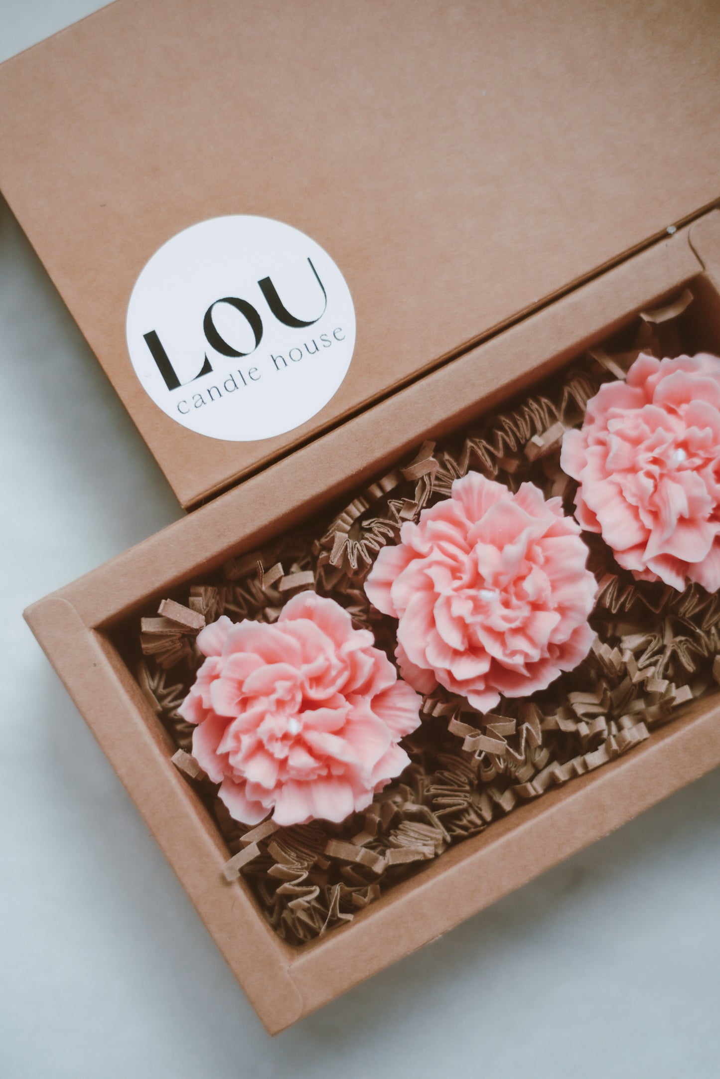 Carnation Flowers - TRIO PACK