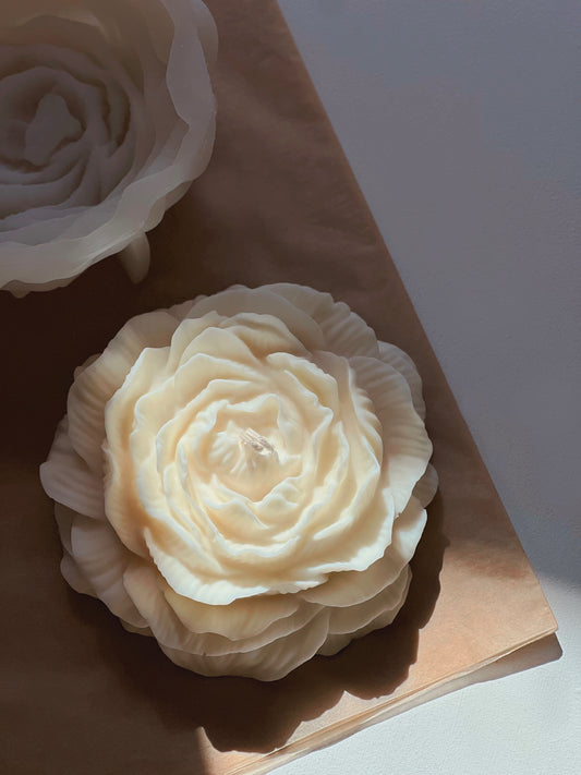 Peony XXL